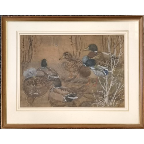 286 - Charles Frederick Tunnicliffe OBE RA (1901–79) original signed painting of 'Mallards at the water's ... 