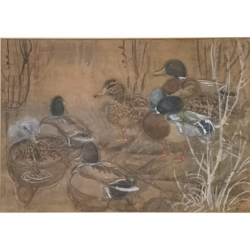 286 - Charles Frederick Tunnicliffe OBE RA (1901–79) original signed painting of 'Mallards at the water's ... 