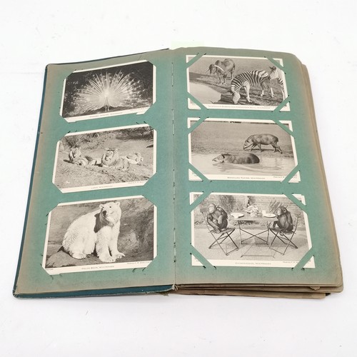 299 - Postcard album with Italy postcards & Whipsnade zoo postcards etc