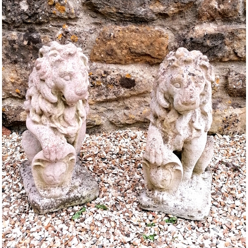 97 - Pair of lion figures holding armorial plaques - 40cm high