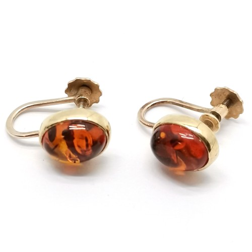 667 - 9ct marked gold screwback amber set earrings - 2.1g total weight