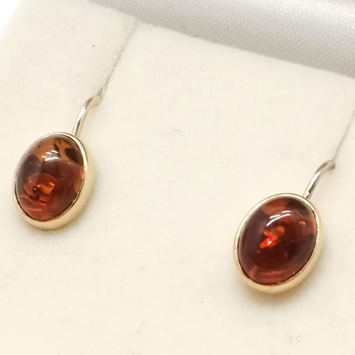 667 - 9ct marked gold screwback amber set earrings - 2.1g total weight