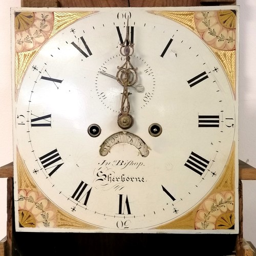 838 - Antique Sherborne oak longcase clock - 45cm long x 24cm deep x 198cm high