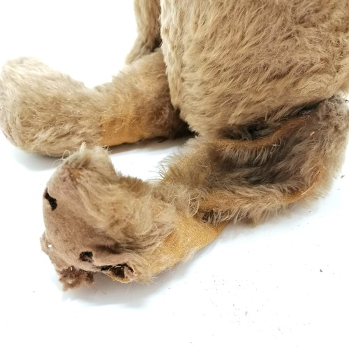 115 - Steiff ? mohair teddy bear with hump & glass eyes and hand stiched nose & mouth - 43cm high ~ leg ha... 