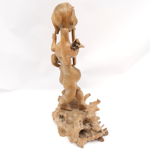 154 - Asian root carving of a male figure playing an instrument 54cm high