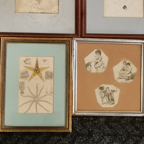 299 - Antique framed drawings of children (frame 21cm square) t/w 6 other framed pictures inc seashells (1... 