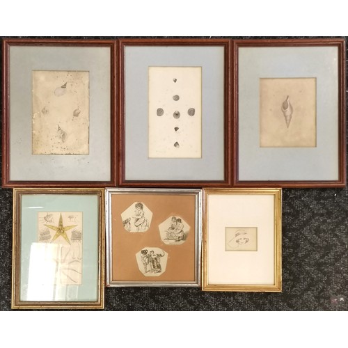 299 - Antique framed drawings of children (frame 21cm square) t/w 6 other framed pictures inc seashells (1... 