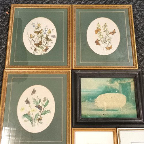 300 - 7 x framed pictures inc elephant, chickens (toned), pig & 1841 butterfly plates - frame 39cm x 34cm