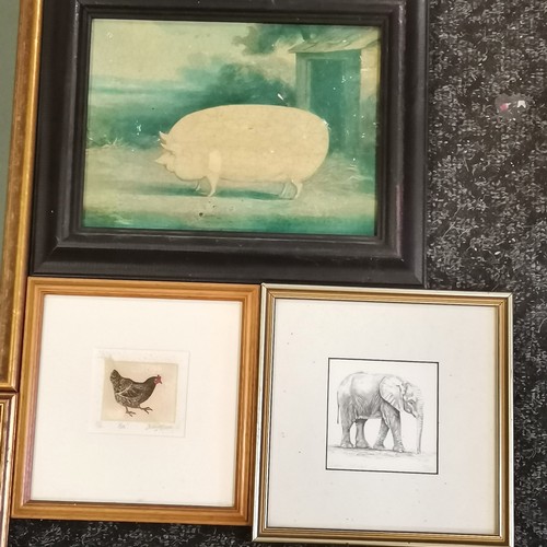 300 - 7 x framed pictures inc elephant, chickens (toned), pig & 1841 butterfly plates - frame 39cm x 34cm