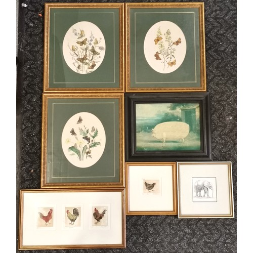 300 - 7 x framed pictures inc elephant, chickens (toned), pig & 1841 butterfly plates - frame 39cm x 34cm