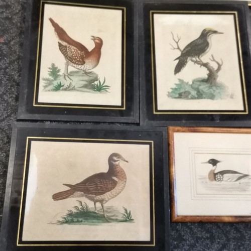 305 - 7 x framed antique prints of birds inc 1748 three toed wood-pecker & horned Indian pheasant etc - la... 