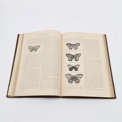 372 - 5 x books - antique British Butterflies by Edward Newman, 1878 Flowers by Taylor, 2 religious books ... 