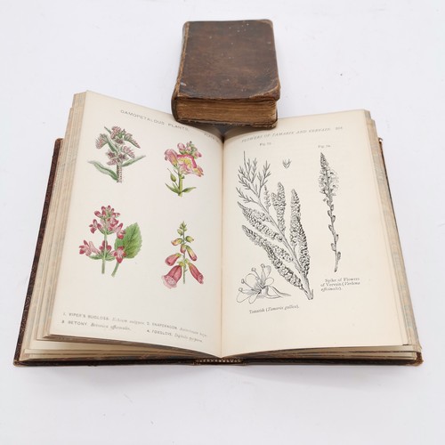 372 - 5 x books - antique British Butterflies by Edward Newman, 1878 Flowers by Taylor, 2 religious books ... 