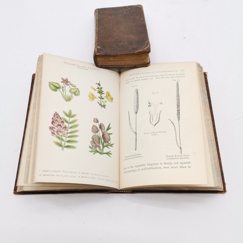 372 - 5 x books - antique British Butterflies by Edward Newman, 1878 Flowers by Taylor, 2 religious books ... 