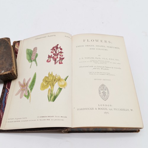 372 - 5 x books - antique British Butterflies by Edward Newman, 1878 Flowers by Taylor, 2 religious books ... 