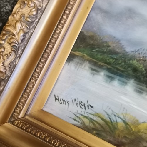 407 - Pair of original oil paintings on canvas of highland cattle signed Harry West - gesso frames 60cm x ... 