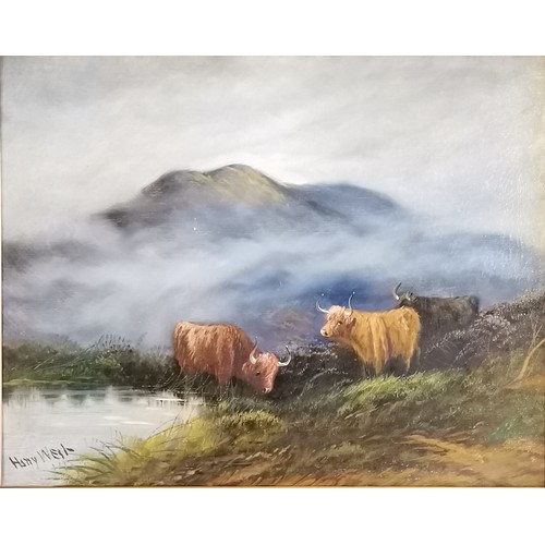 407 - Pair of original oil paintings on canvas of highland cattle signed Harry West - gesso frames 60cm x ... 