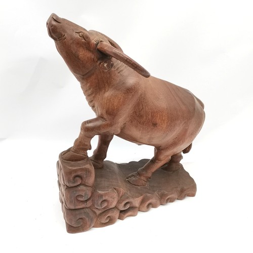 15 - Large Oriental carved hardwood figure of a water buffalo 52cm high x 38cm long x 13cm wide