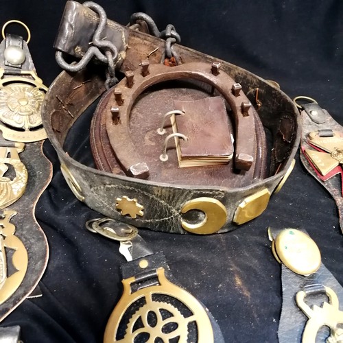 101 - Large lifetime collection of horse brasses - mostly on leather straps inc antique, RSPCA, monarchs, ... 