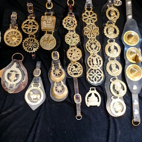 101 - Large lifetime collection of horse brasses - mostly on leather straps inc antique, RSPCA, monarchs, ... 