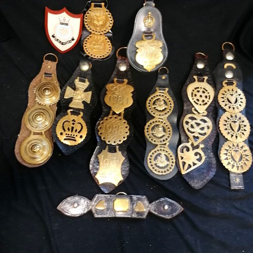 101 - Large lifetime collection of horse brasses - mostly on leather straps inc antique, RSPCA, monarchs, ... 