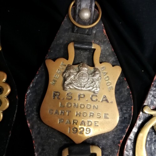 101 - Large lifetime collection of horse brasses - mostly on leather straps inc antique, RSPCA, monarchs, ... 