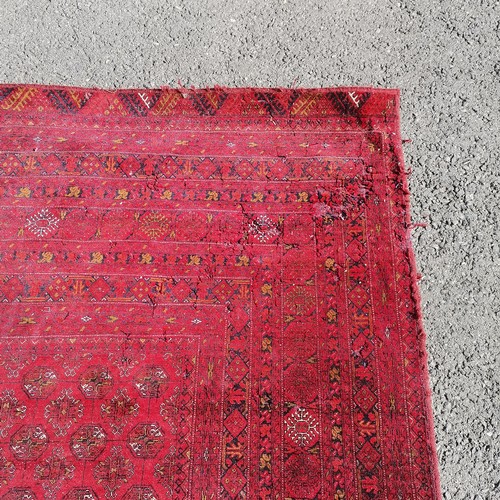 172 - Large red wool rug - 290cm x 202cm