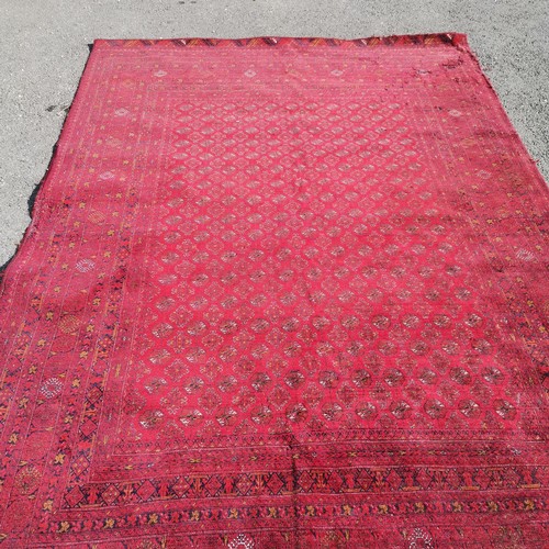 172 - Large red wool rug - 290cm x 202cm