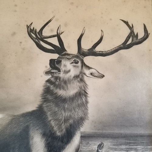 223 - Drawing of a stag with dog signed R Woods 1862 - frame 47cm x 41.5cm ~ frame a/f & picture has some ... 