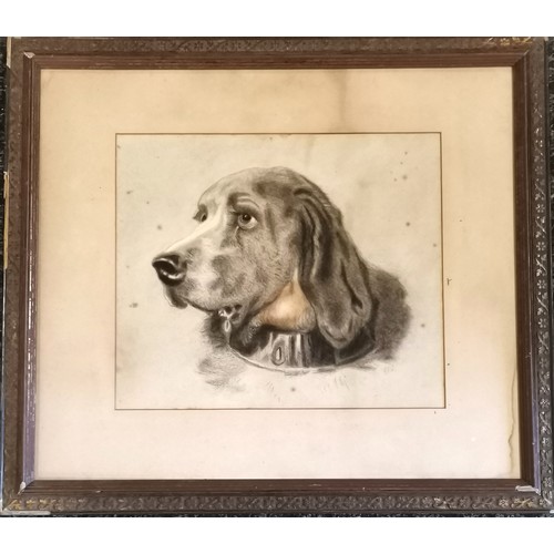 225 - Antique original charcoal still life study of a dogs head signed ERS in the style of Odin by Landsee... 