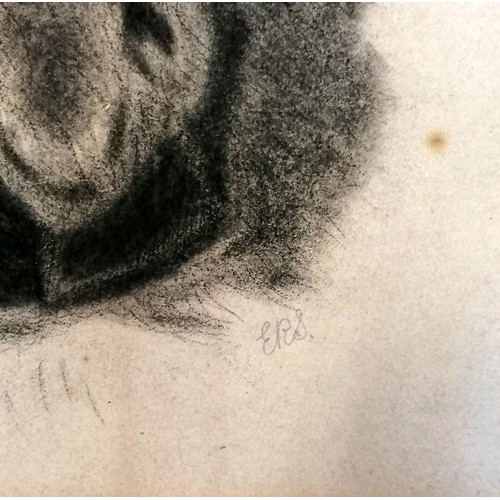 225 - Antique original charcoal still life study of a dogs head signed ERS in the style of Odin by Landsee... 