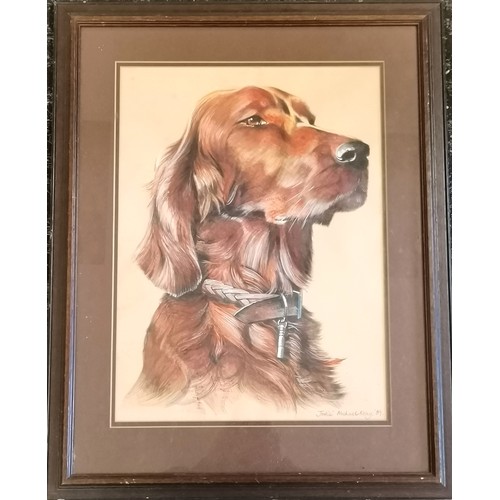 241 - 1989 original mixed media portrait of a red setter dog 'Jodie' signed Michael Keay - frame 55.5cm x ... 