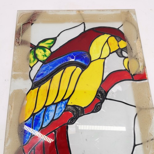 250 - Glass panel with hand painted Macaw detail 61cm x 30.5cm - some losses to the paint