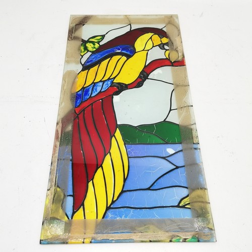 250 - Glass panel with hand painted Macaw detail 61cm x 30.5cm - some losses to the paint