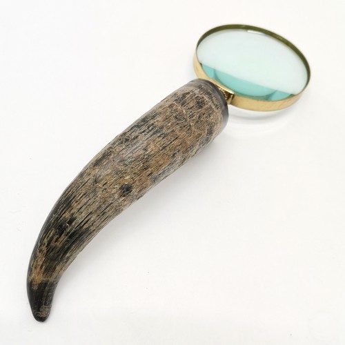 304 - Vintage hand lens with cow horn handle - 30cm ~ SOLD IN AID OF STALBRIDGE COMMUNITY CHARITY