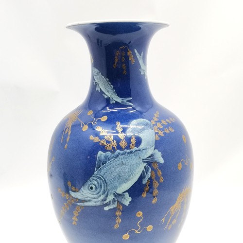 12 - Chinese antique blue grounded vase decorated with enamel fish (sturgeon, carp etc) & gilded sea weed... 