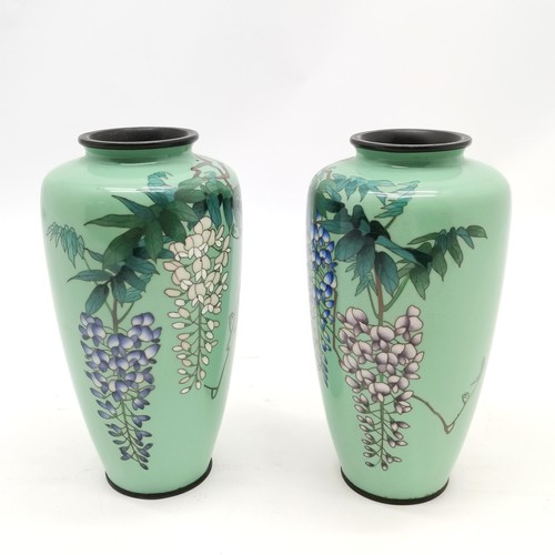 17 - Pair of Japanese cloisonne vases decorated with wisteria - 18.5cm tall ~ 1 has losses / crack & othe... 