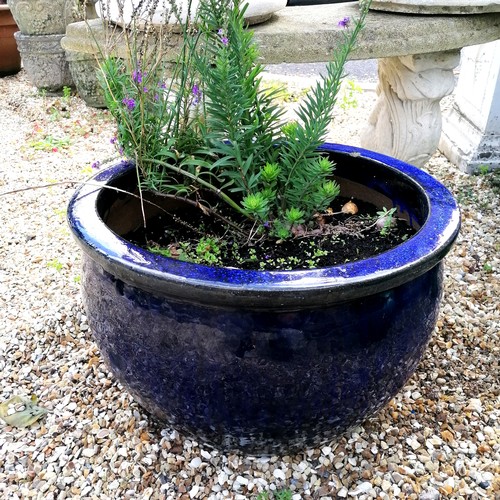 63 - large blue glazed planter with plants - 51cm diameter