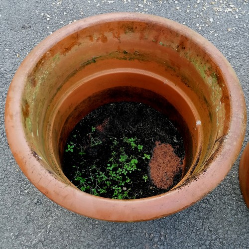 69 - Pair of large terracotta planters -  57cm diameter