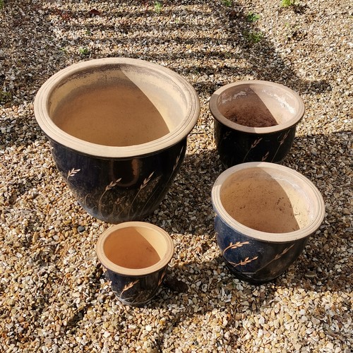 74 - 4 glazed planters dark blue with wheat detail - largest 32cm high