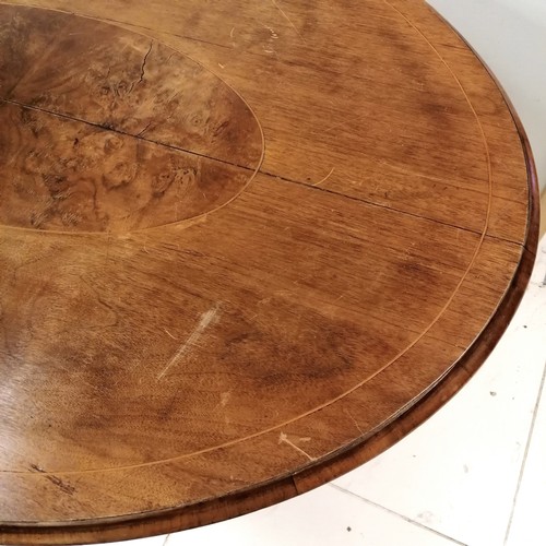 89 - Antique mahogany oval tilt top table with burr walnut inlaid top - 85cm x 120cm & has marks to the t... 