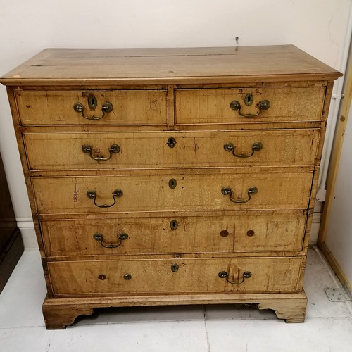 121 - Antique Georgian walnut veneer 2 over 4 chest of drawers with cross banded detail on bracket feet  -... 