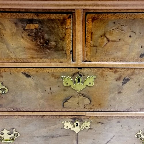 131 - Antique early English burr walnut veneer 2 over 3 chest of drawers on bracket feet with solid oak dr... 