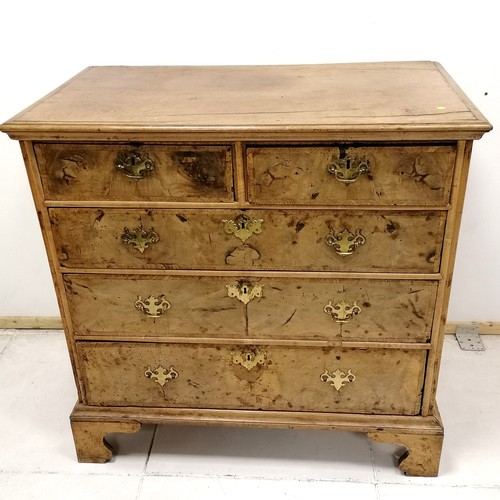 131 - Antique early English burr walnut veneer 2 over 3 chest of drawers on bracket feet with solid oak dr... 