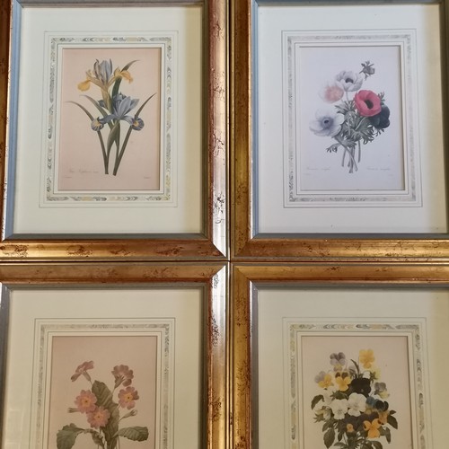 219 - 6 x framed Natural History Museum Botanical prints - frame 38cm x 31cm ~ SOLD IN AID OF STALBRIDGE C... 