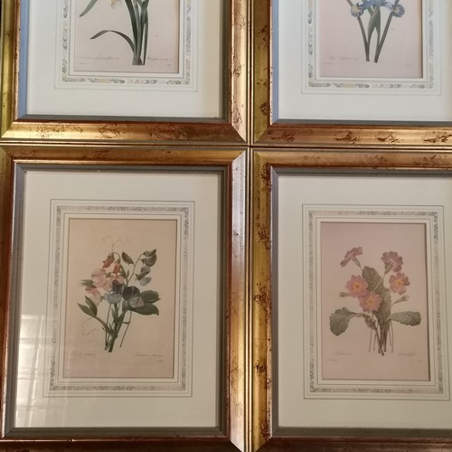 219 - 6 x framed Natural History Museum Botanical prints - frame 38cm x 31cm ~ SOLD IN AID OF STALBRIDGE C... 