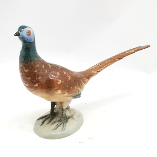 229 - 6 x bird figurines ~ 3 by Beswick, Royal Dux (23cm high x 32cm long) etc ~ Beswick pheasant hen has ... 