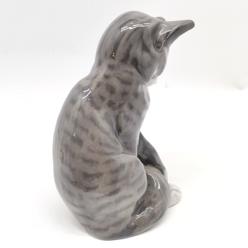 254 - Royal Copenhagen 1964 large tabby cat figurine #340 - 18.5cm high with no obvious damage