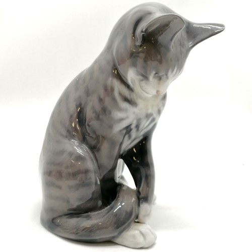 254 - Royal Copenhagen 1964 large tabby cat figurine #340 - 18.5cm high with no obvious damage