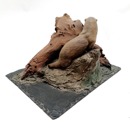 264 - Display model of an otter with natural wood detail mounted on a slate base (21.5cm x 29cm) x 16cm hi... 